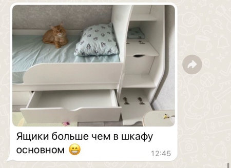 Двухъярусная кровать Альфа 180*80 (цвет белый) от Династия Kids